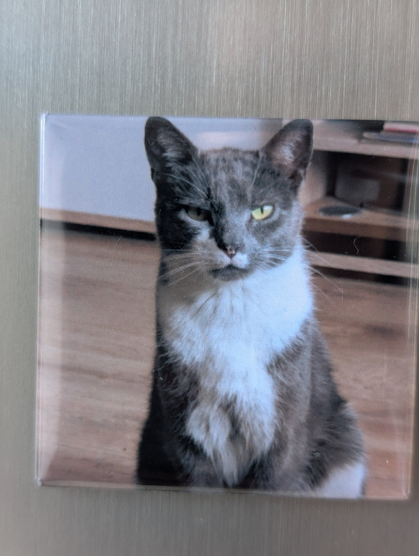 2x2in photo magnet
