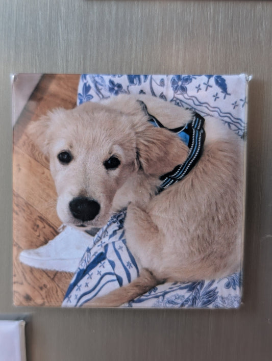 2x2in photo magnet